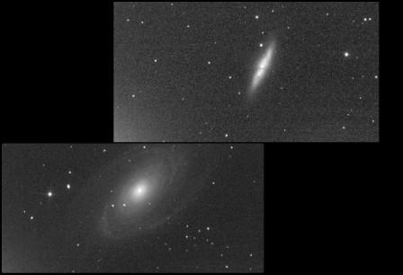 M81-M82-noir-blanc