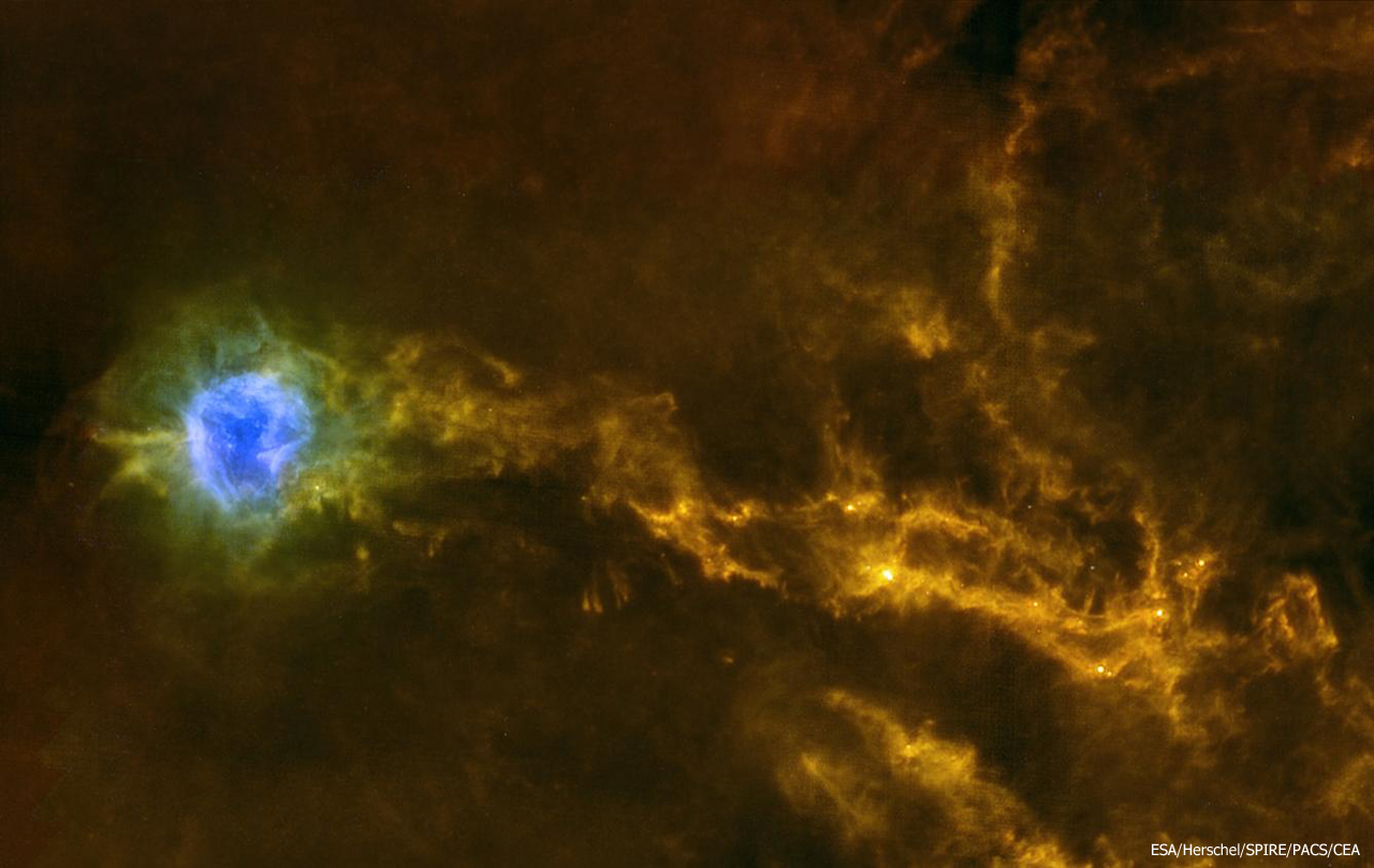 La nbuleuse du Cocon, vue par le satellite Herschel, est accompagne d'pais filaments gazeux. Crdit : ESA/Herschel/SPIRE/PACS/CEA.