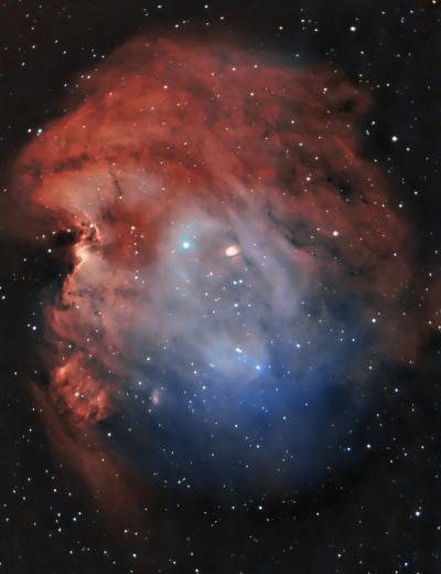 Une soixantaine dtoiles brillent dans l'amas ouvert NGC 2175 associ  la nbuleuse de la Tte de Singe