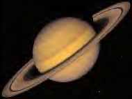 Saturne, la plante aux anneaux