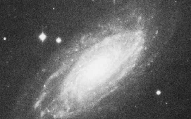 NGC 1425