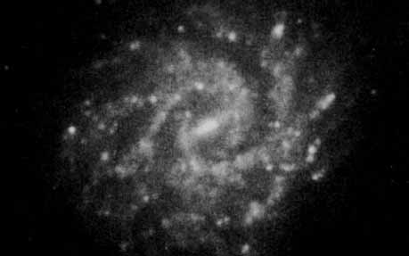 NGC 3346