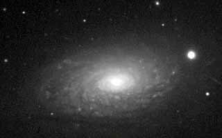 NGC 5055 (M63)