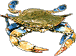 icône crabe