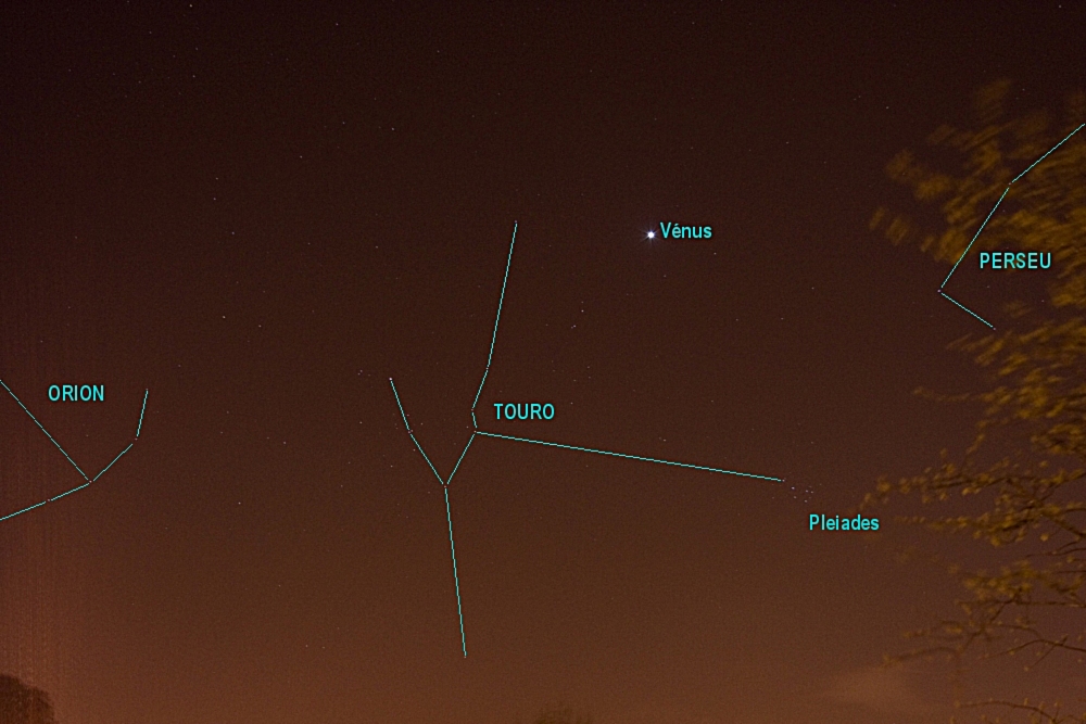 Tauros and Venus