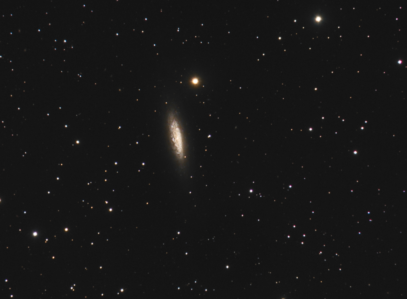 NGC6503-C8-red0.5optec-atik16hr-LRVB.jpg