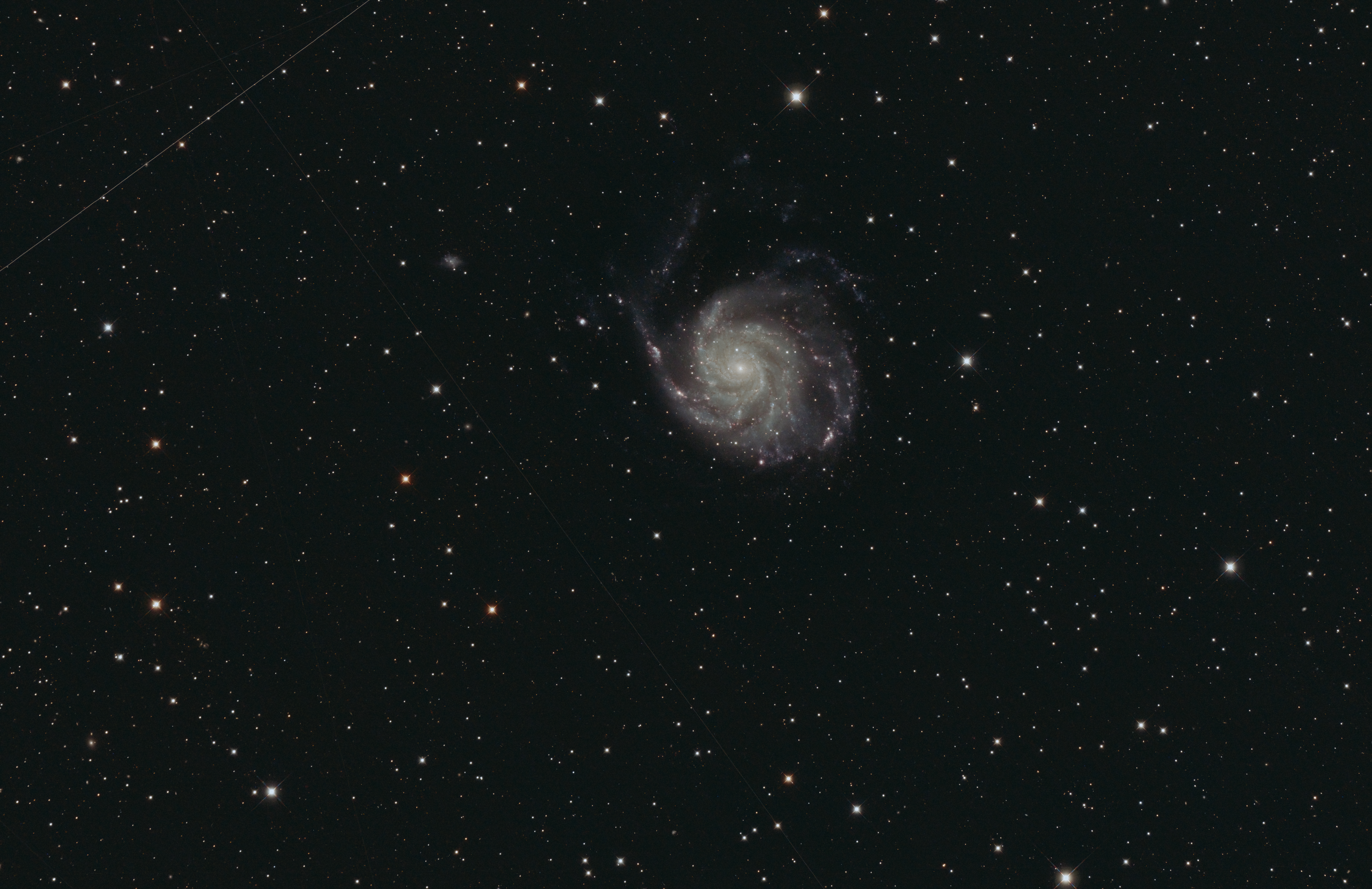 M101_%5B2022_05_28%5D-david.jpg