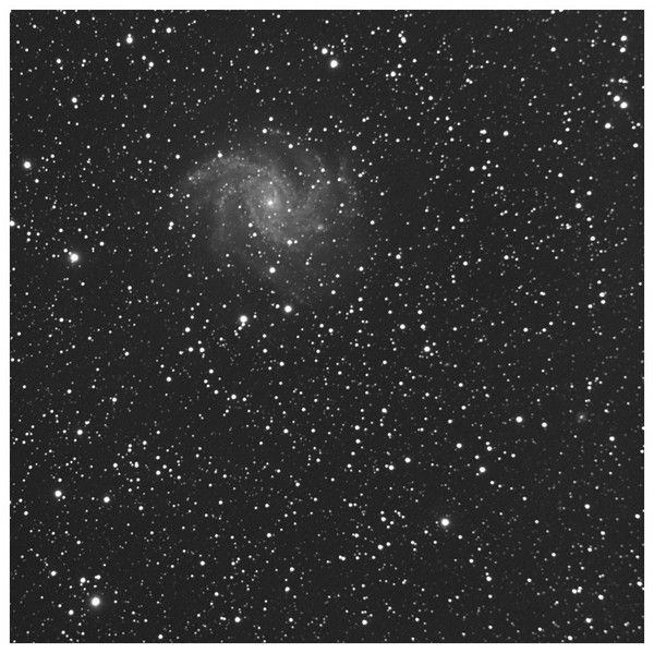 NGC6946 - STL11000 au foyer du C8