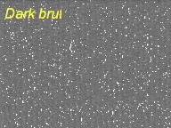 dark_brut.jpg (28574 octets)