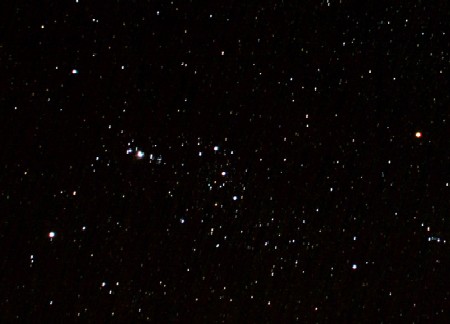 Orion