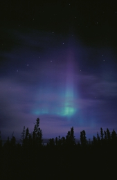 aurora2-10_16_0.jpg (10352 bytes)
