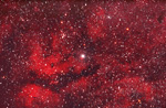 Tximeleta nebulosa