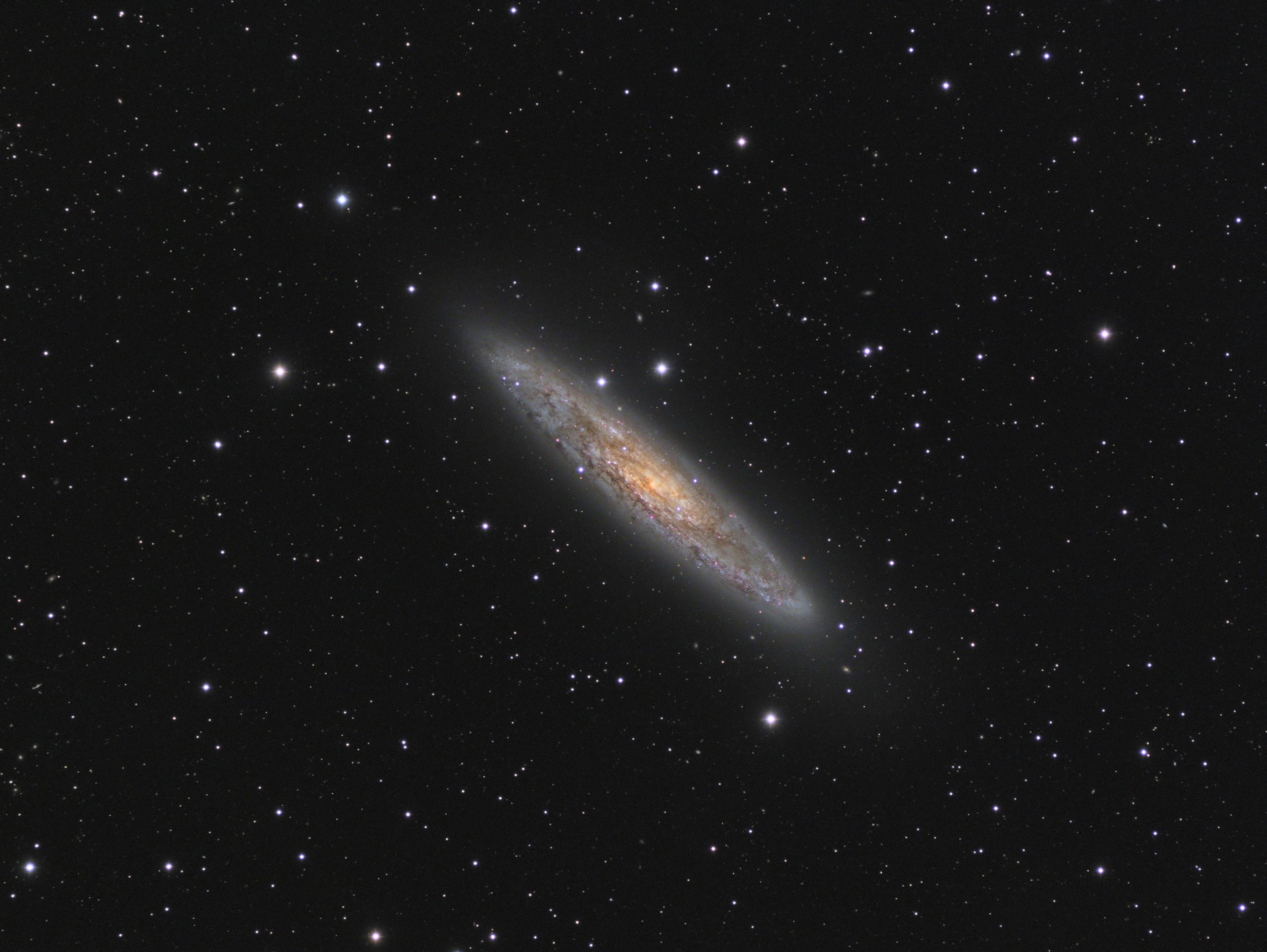 NGC253_SADR_jcd.jpg