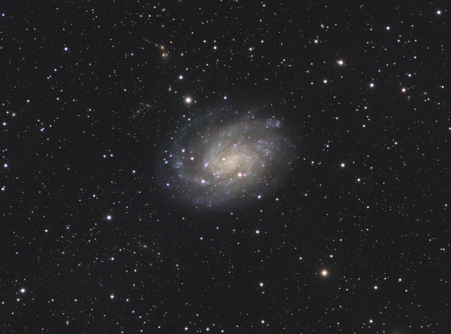 NGC300_SADR_final.jpg