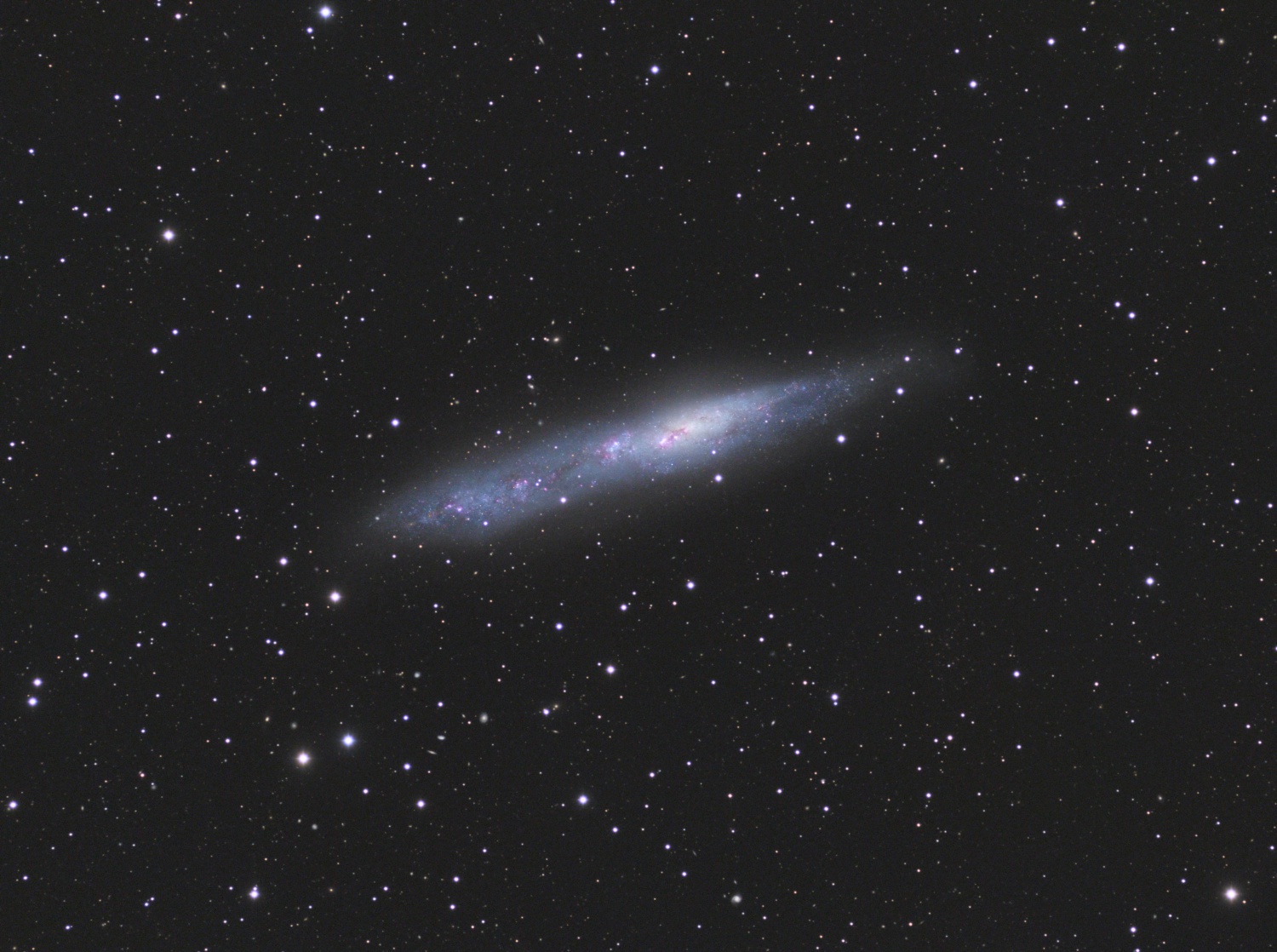 NGC55_SADR_final.jpg