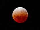 2008-02 Lunar eclipse