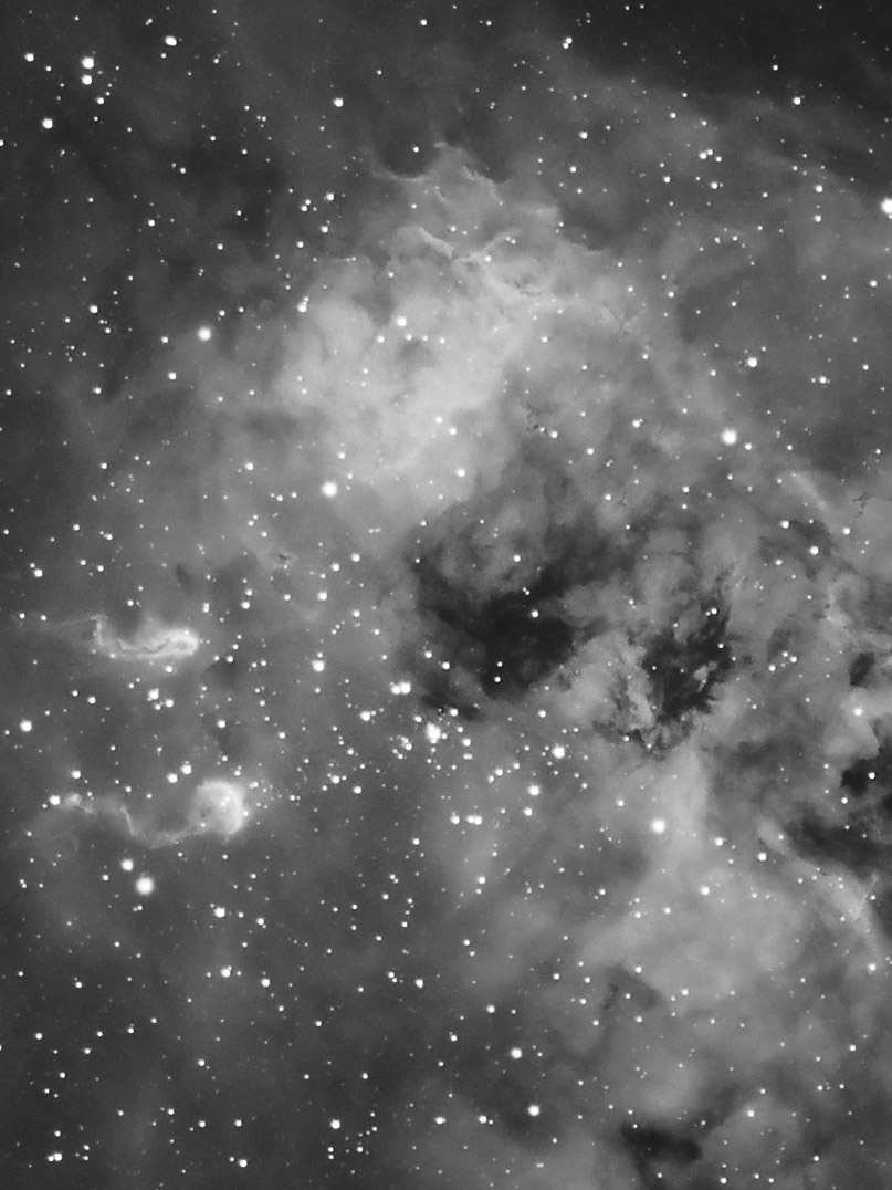 Tadpole nebula