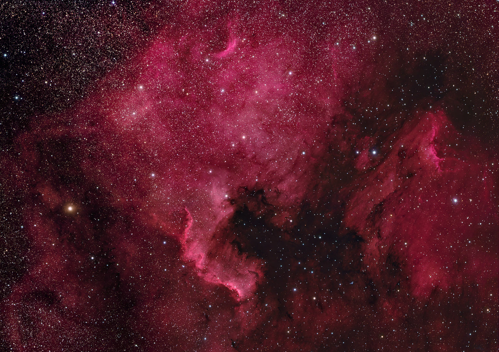 NGC 7000 & IC 5070