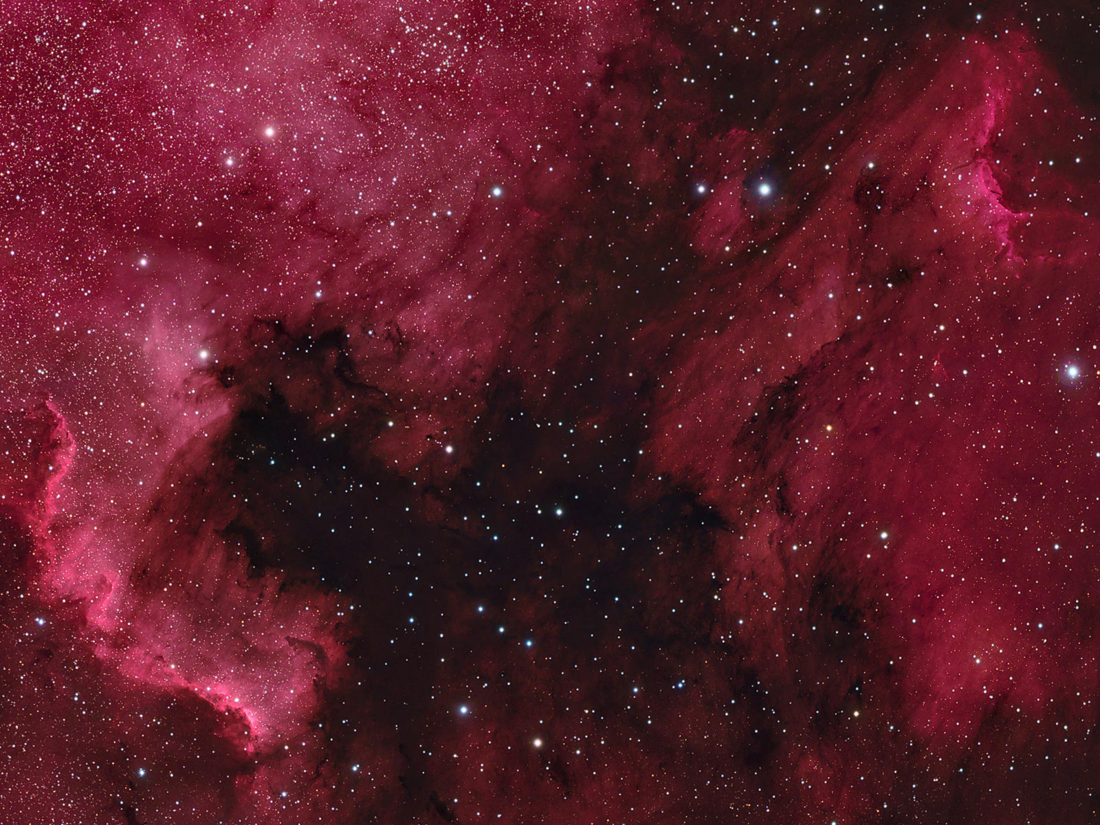 NGC 7000 Crop