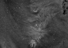 NGC2264_Arbre_de_Noel