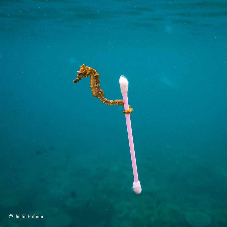 Résultat de recherche d'images pour "photo de mer polluée"