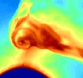 Simulation du disque d'accrtion form par le vent stellaire d'une toile Wolf-Rayet soufflant autour de son compagnon.