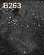 dessin nebuleuse obscure B263