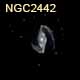 dessin galaxie NGC2442