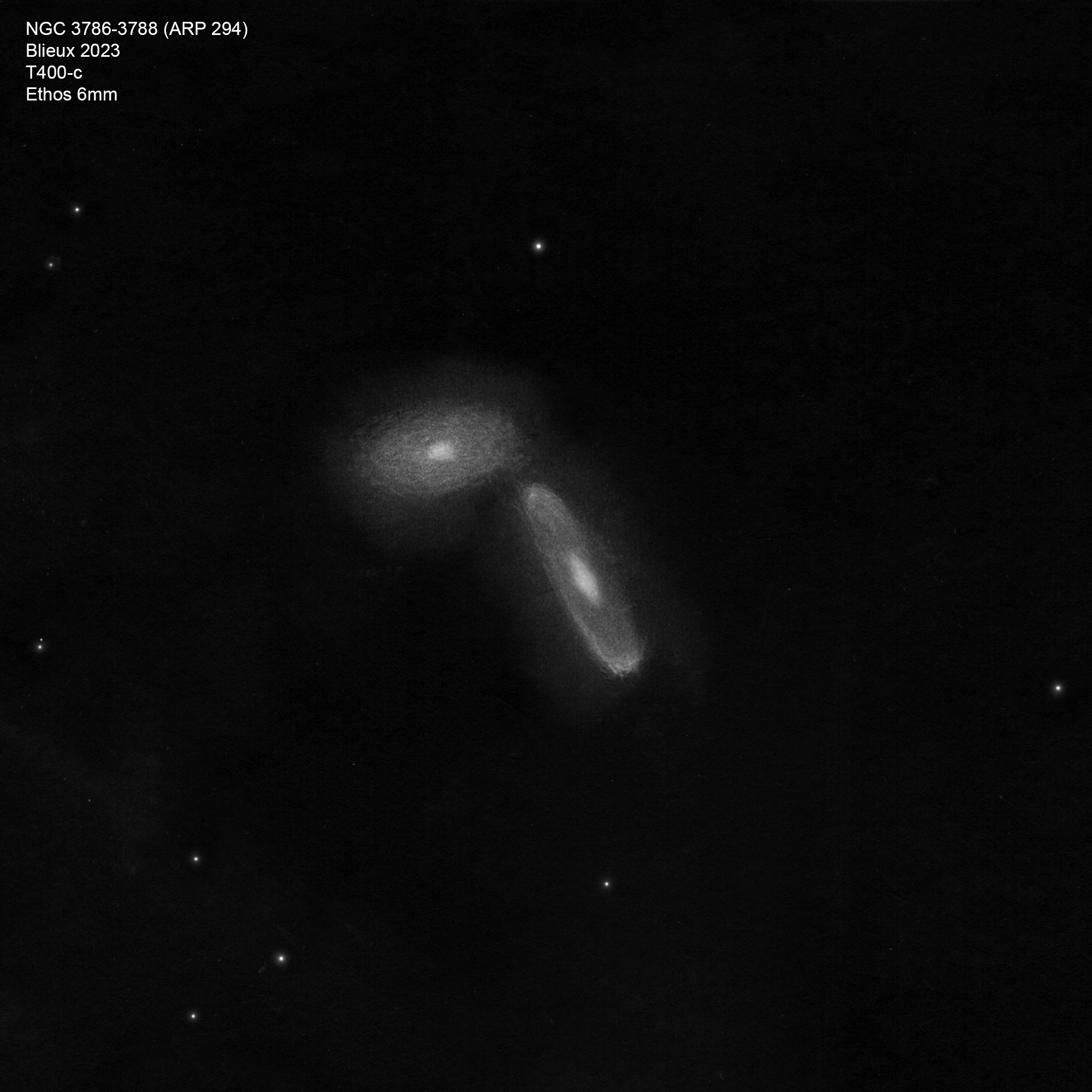 NGC3786_23.jpg