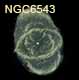 dessin nebuleuse de l oeil de chat NGC6543