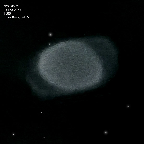NGC6563_20.jpg
