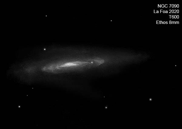 NGC7090_20.jpg