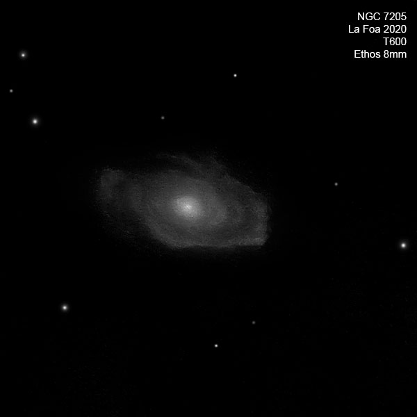 NGC7205_20.jpg