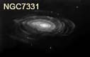 dessin NGC7331