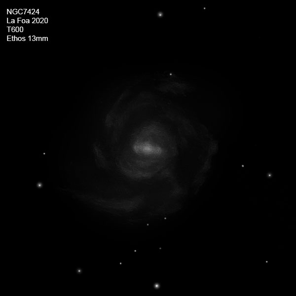 NGC7424_20.jpg