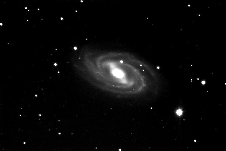 NGC3992