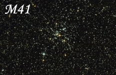M41-lien