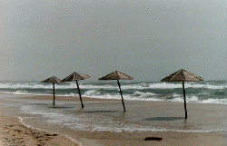 Parasols, Nabeul (Tunisie)