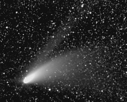 La cometa Hall-Bopp ripresa con un obiettivo grandangolare da 29mm f/5.6 (120s)