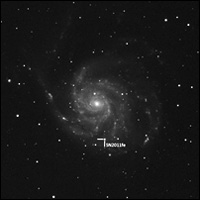 Latest Supernovae