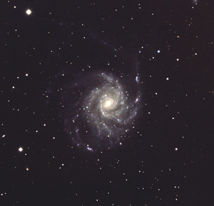M101 crop