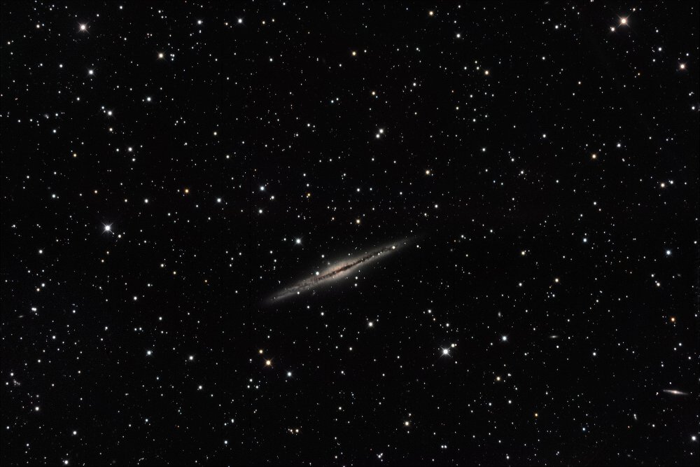 NGC891 et NGC898 - RC12Pix.jpg