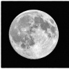 Pleine lune.jpg
