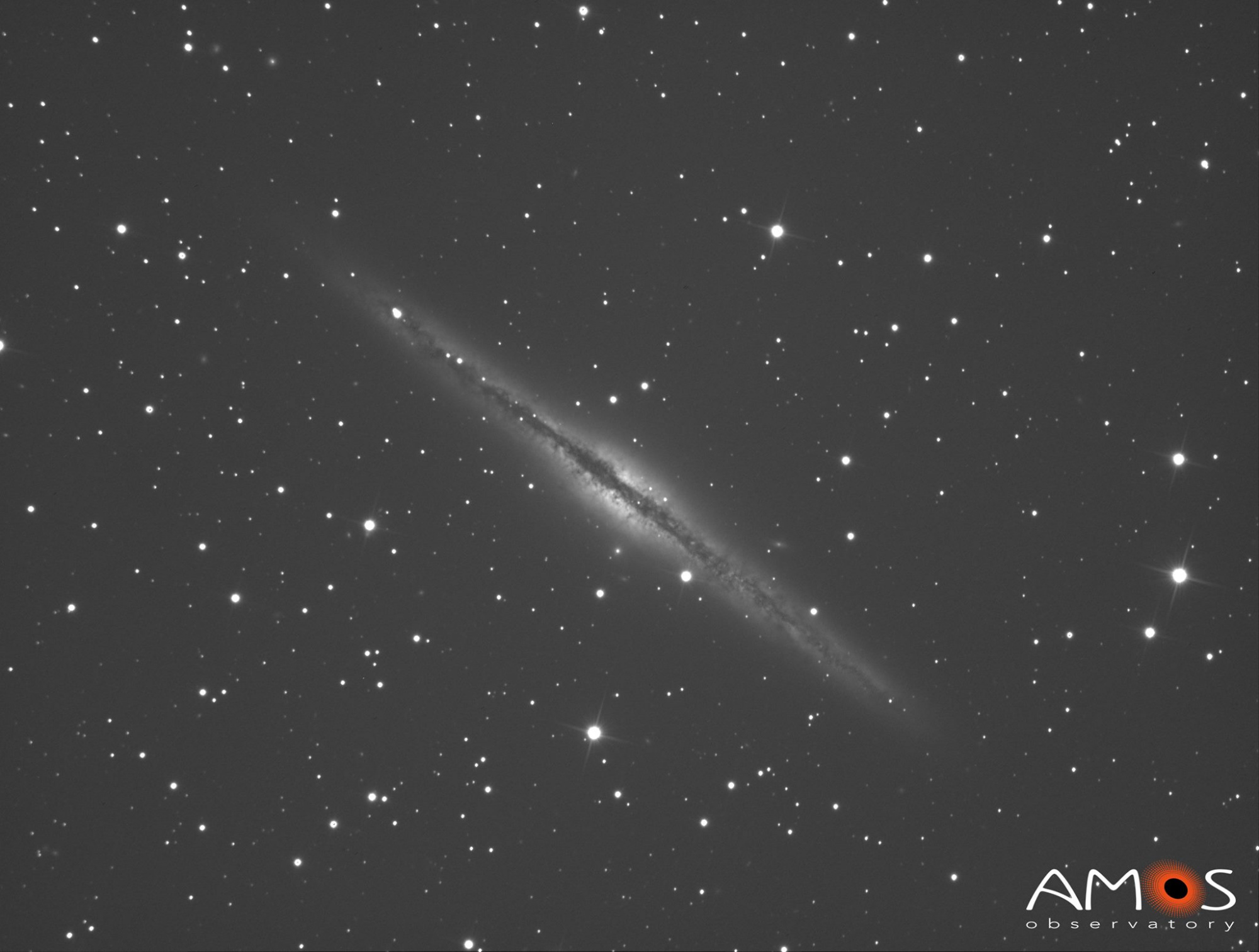 NGC891.thumb.jpg.708a1c9a7a62e857ecd5a02354955154.jpg