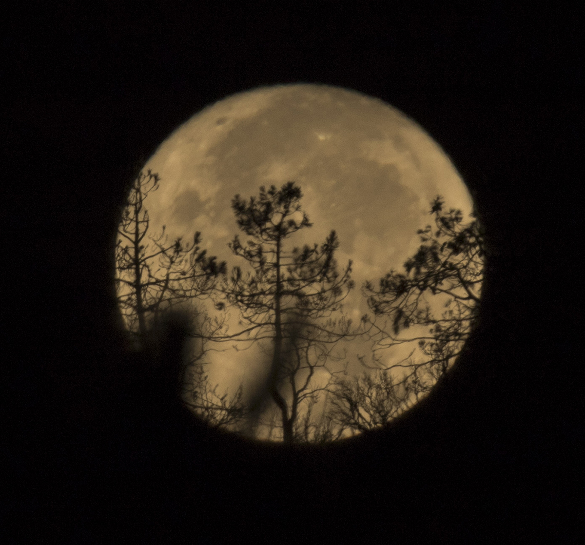 la lune,  au matin du 05/10/2017  (31515 rawjpegas.jpg)