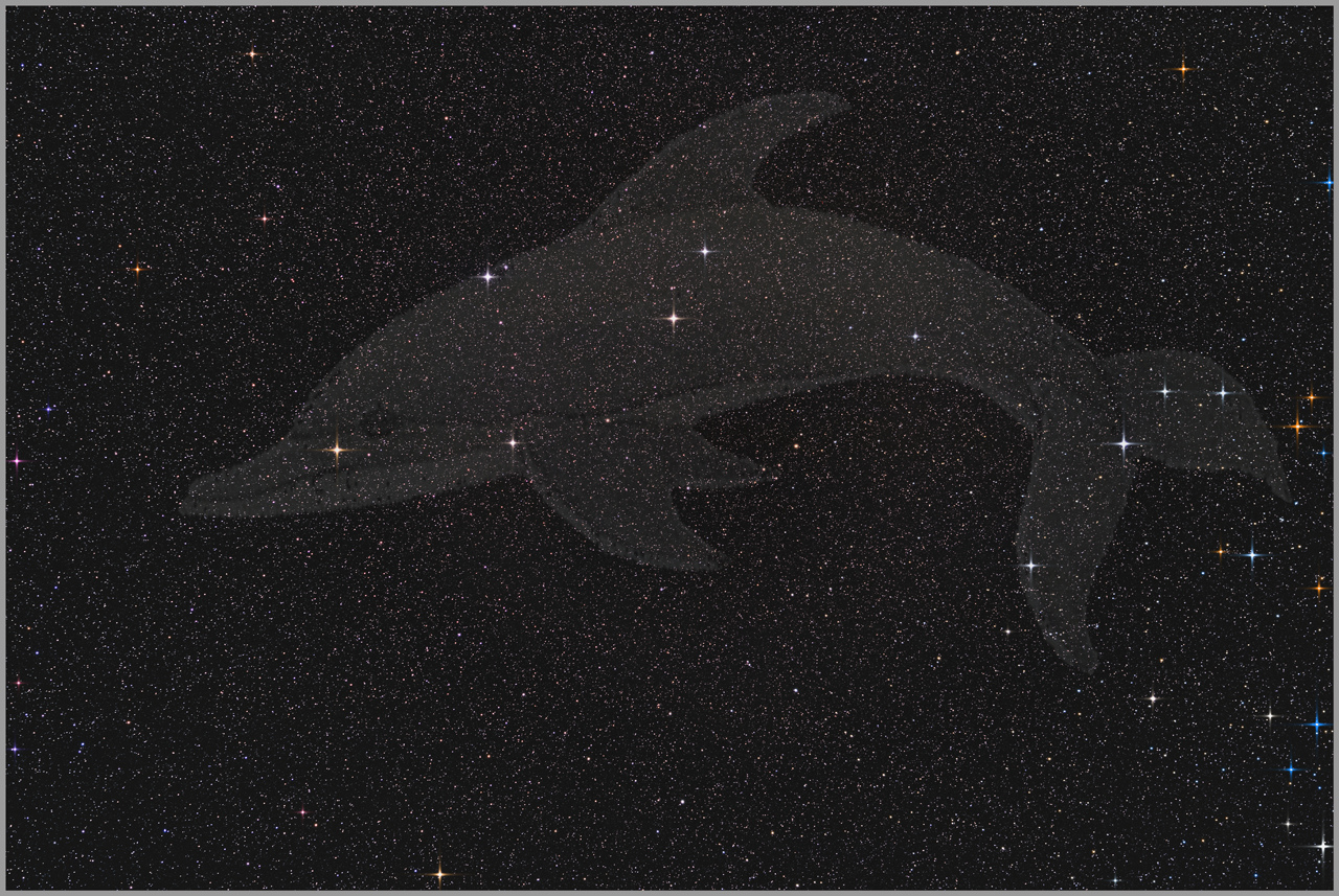 Constellation du Dauphin avec filigrane dauphin