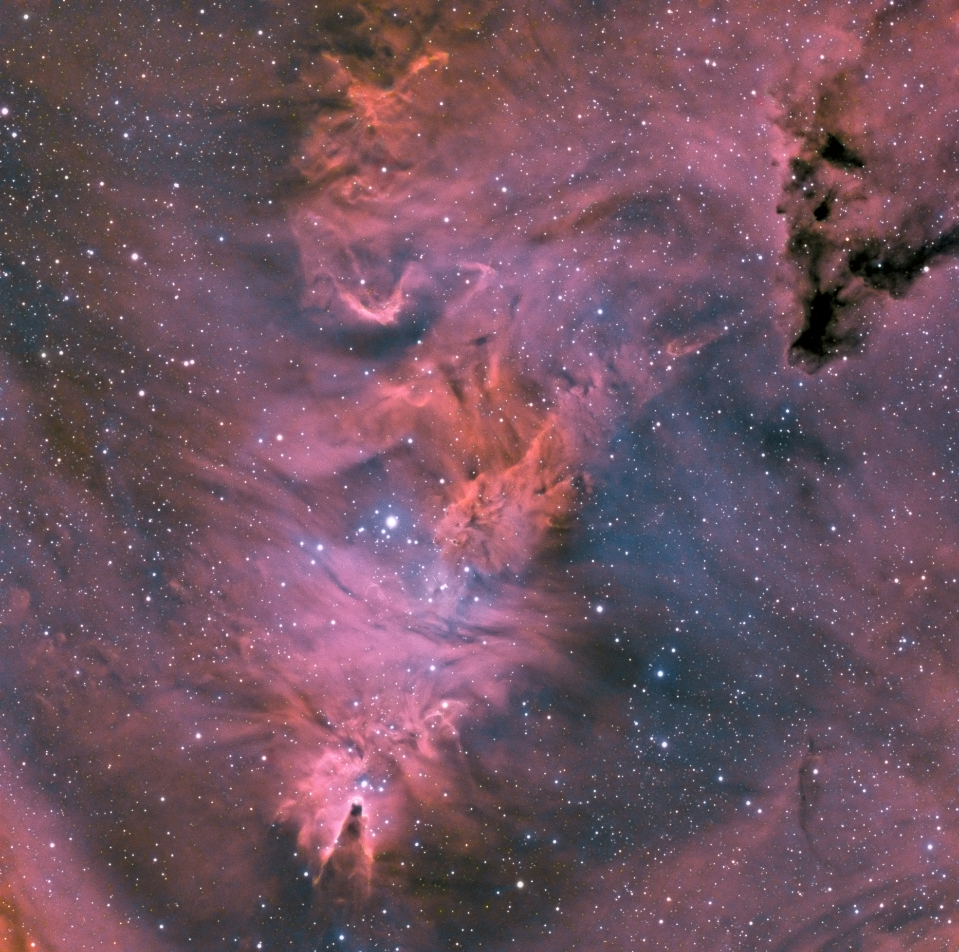 NGC2264 nébuleuse du Sapin de Noël en HOO-RVB
