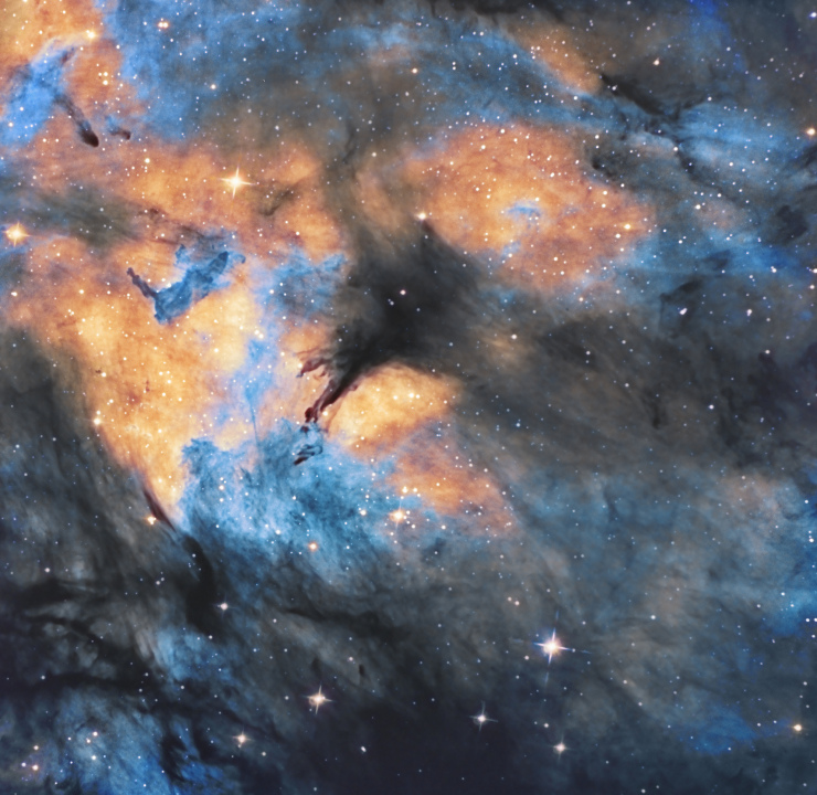 IC1318 Nébuleuse du Papillon