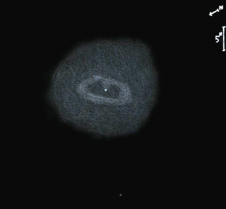 NGC6891obs7850.jpg