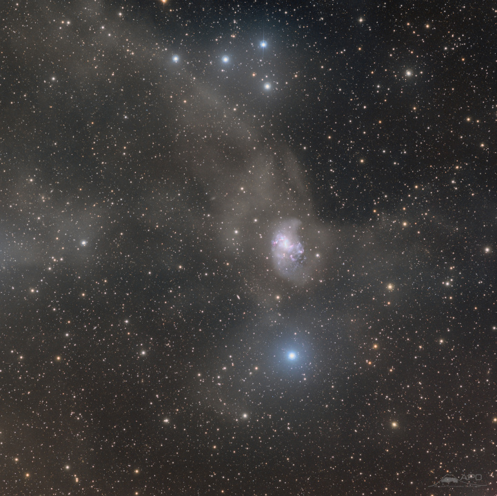 Galaxie spirale NGC 1313